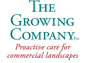 Sacramento Property Management on Landscape Maintenance Service   Sacramento  Roseville  Elk Grove