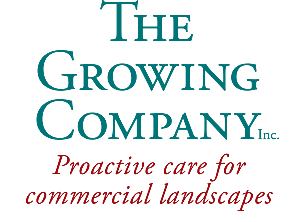 Sacramento Landscaping Companies